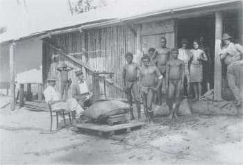 Copra Anlieferung in Papua Neuguinea