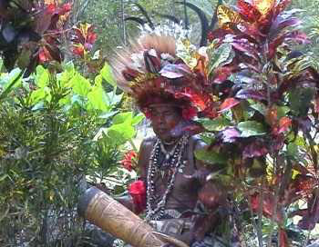 Papua in Festbekleidung, Papua Neuguinea
