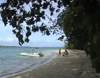 Lissenung Resort, Hausriff
