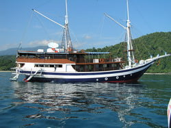 MV Raja Amat Explorer