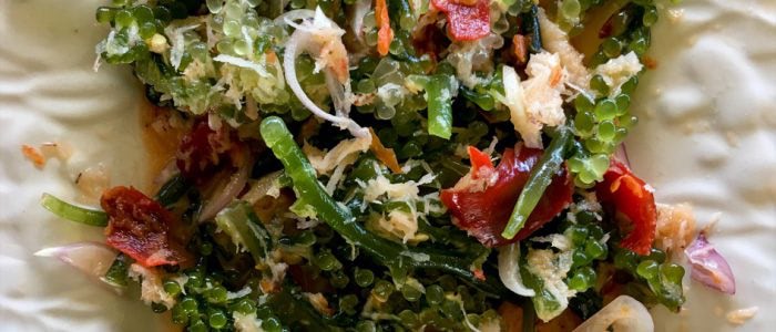 Lat - Knackiger Salat aus Meeresalgen