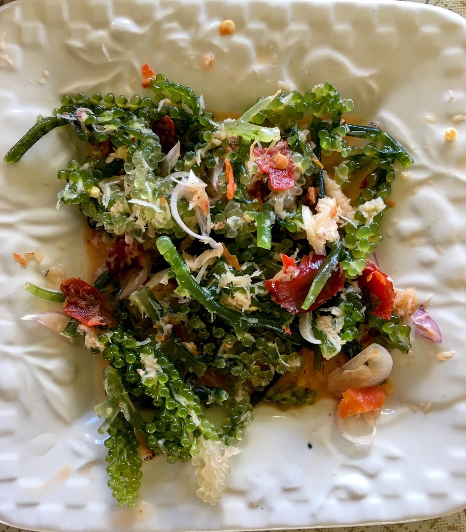 Lat - Knackiger Salat aus Meeresalgen
