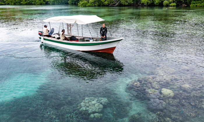 Tauchboot des Kusu Island Resorts