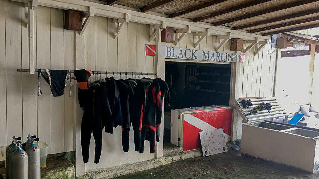 Dive center, Black Marlin